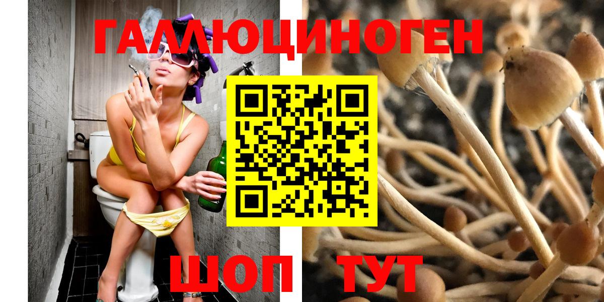 Галлюциногенные грибы Psilocybine cubensis Строитель